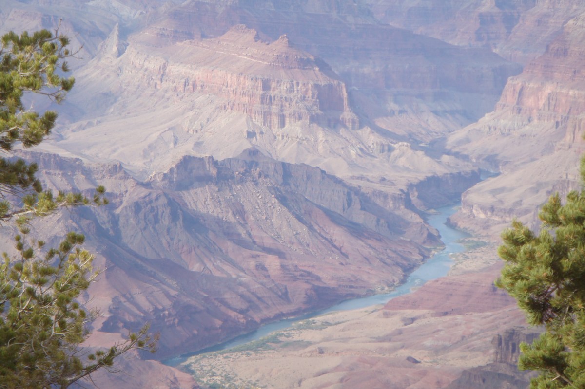 My view of the Grand Canyon