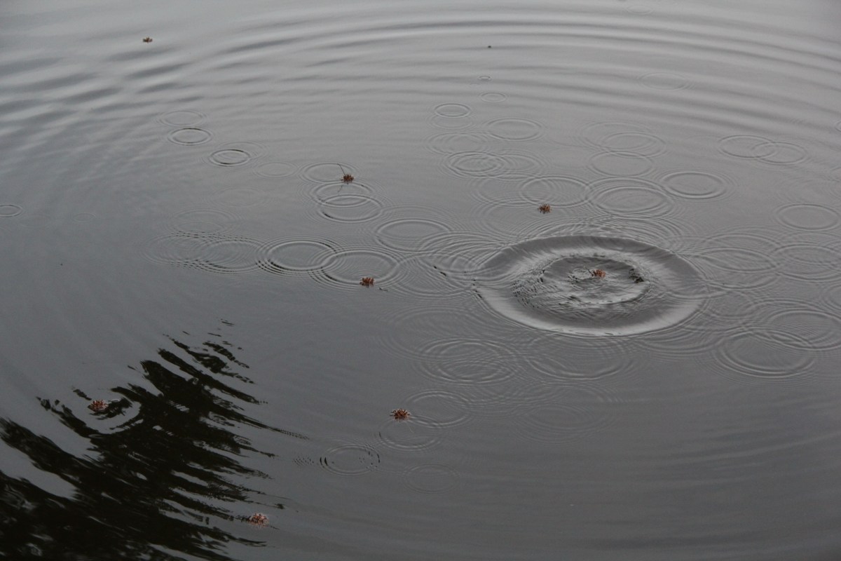 The Gracious Ripple Effect 2