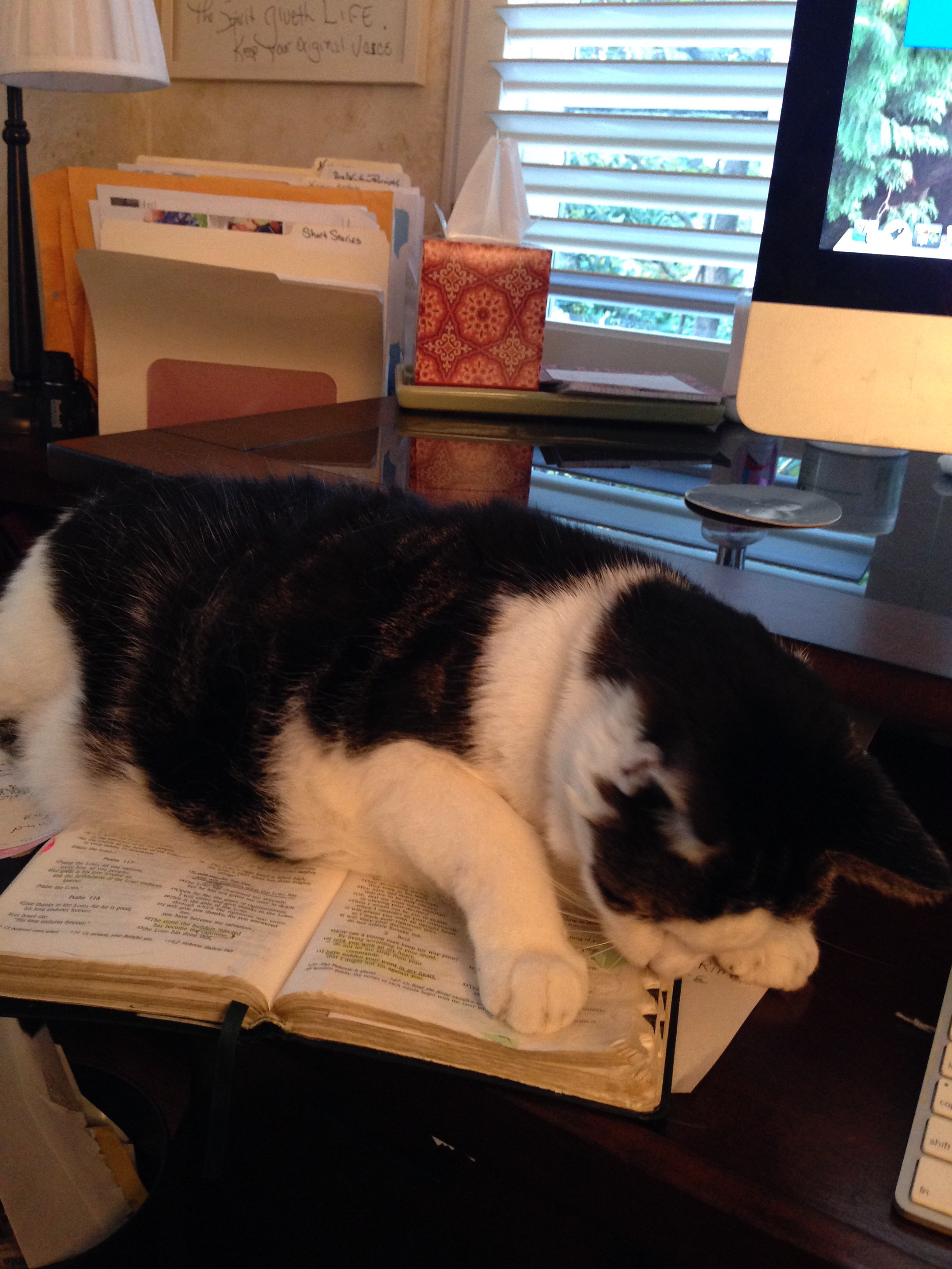 Searching in The Word